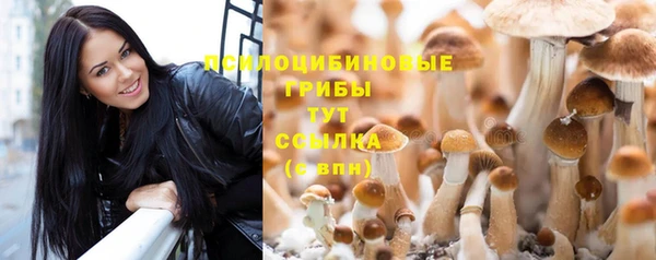 прущая мука Зеленодольск
