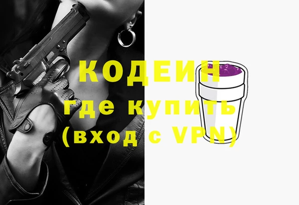 первитин Инта